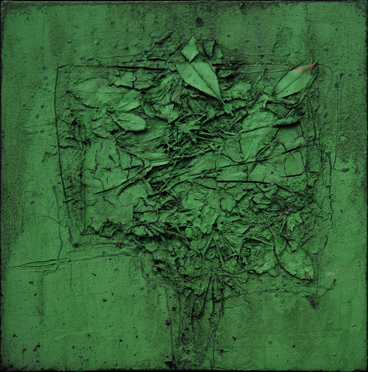 Terre-a-terre-acryle-beton-vegetaux-40-x-40-cm-2018